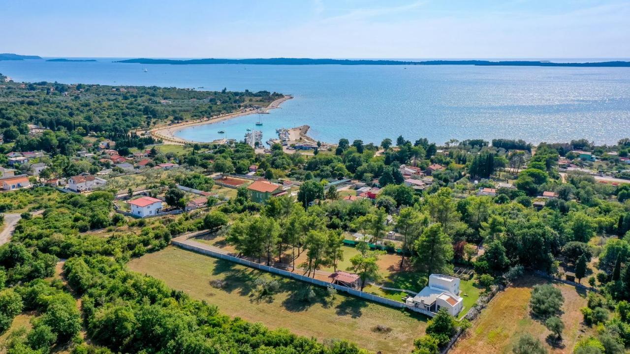 Shimunelka Перой Экстерьер фото