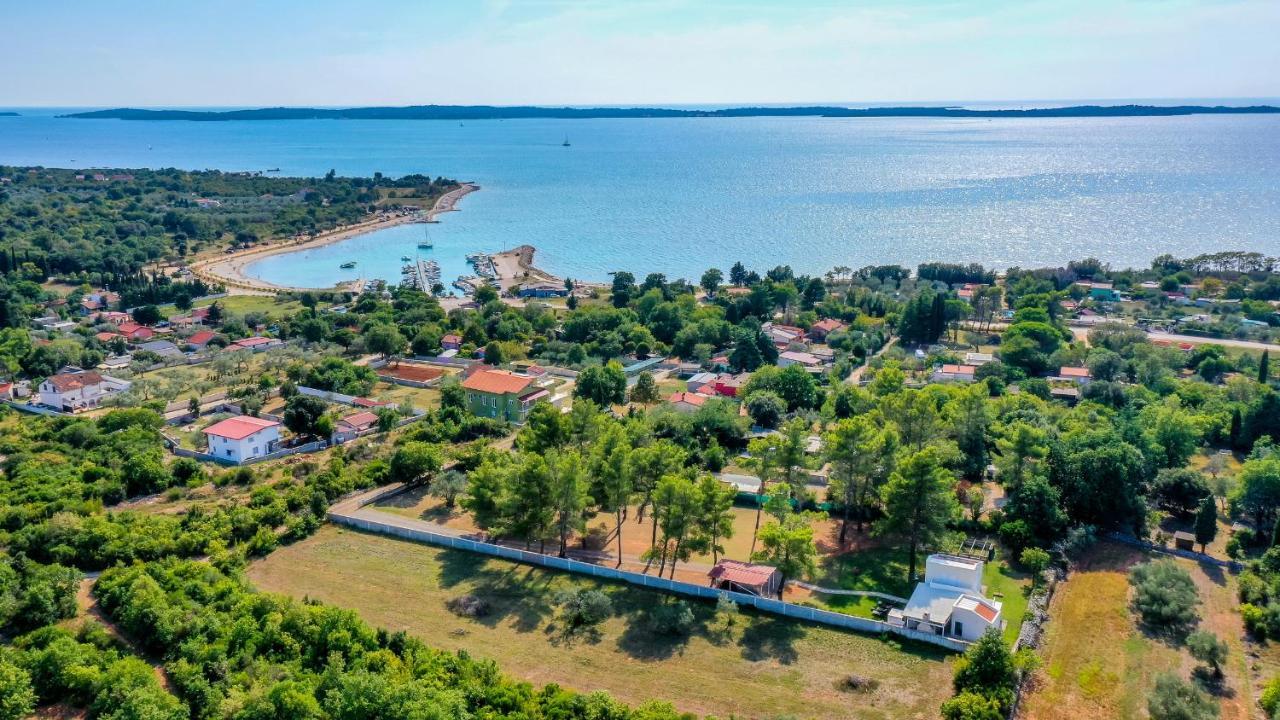 Shimunelka Перой Экстерьер фото