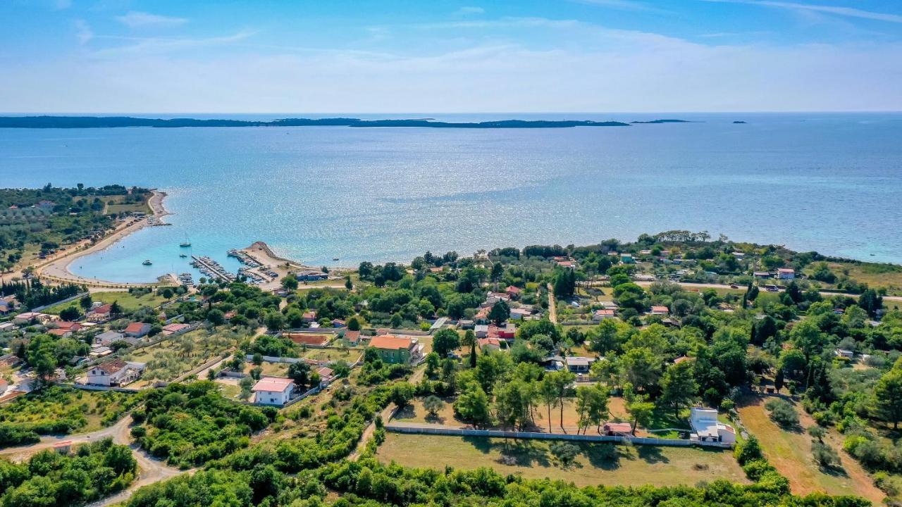 Shimunelka Перой Экстерьер фото