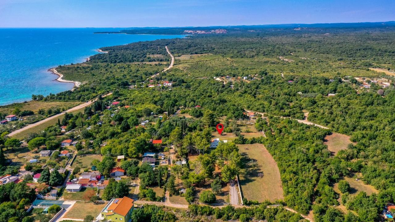 Shimunelka Перой Экстерьер фото