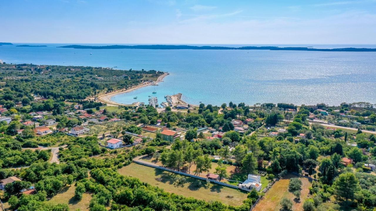 Shimunelka Перой Экстерьер фото