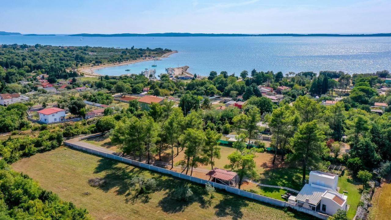 Shimunelka Перой Экстерьер фото