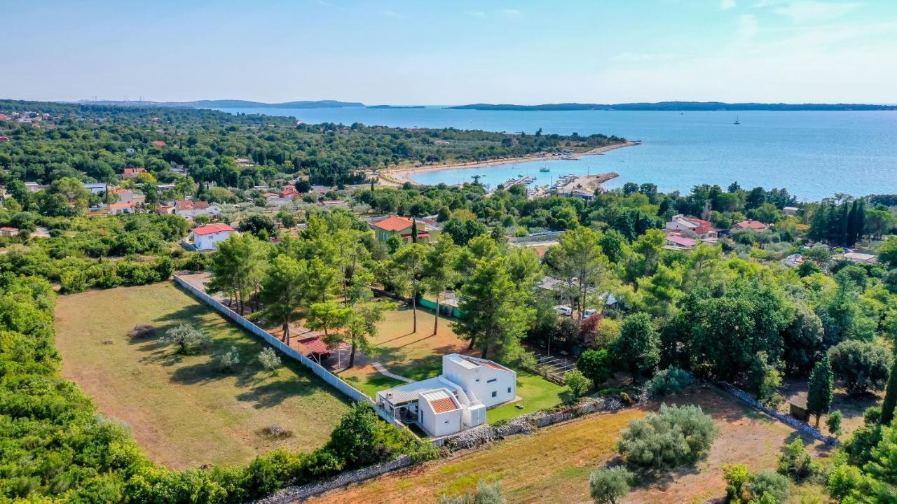 Shimunelka Перой Экстерьер фото