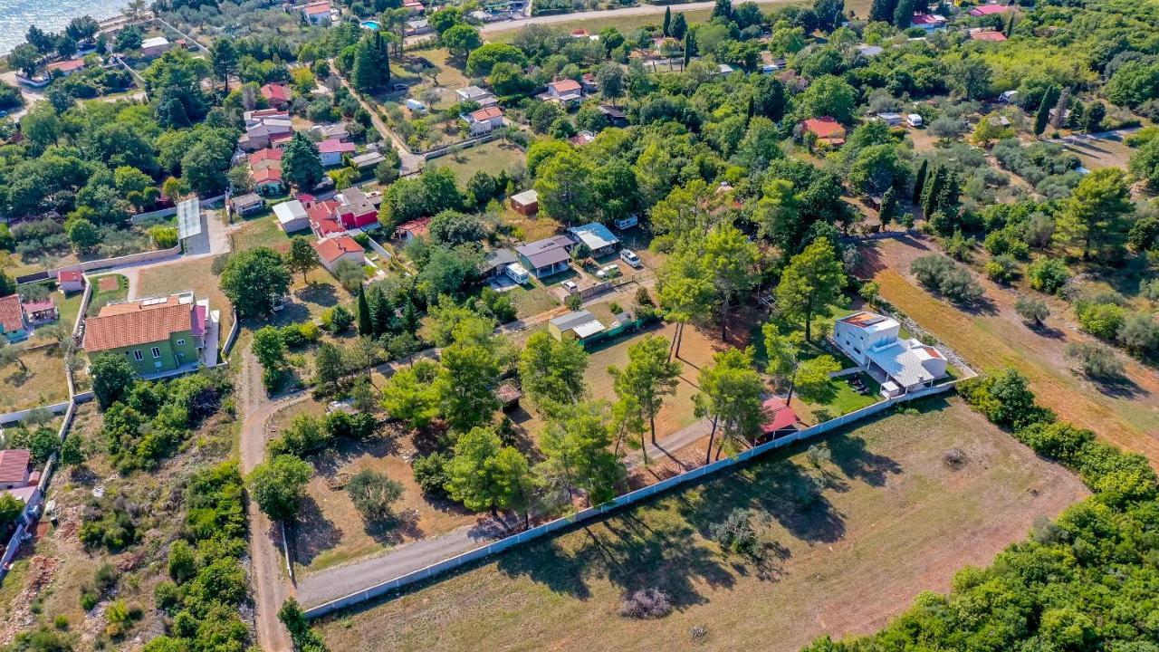 Shimunelka Перой Экстерьер фото